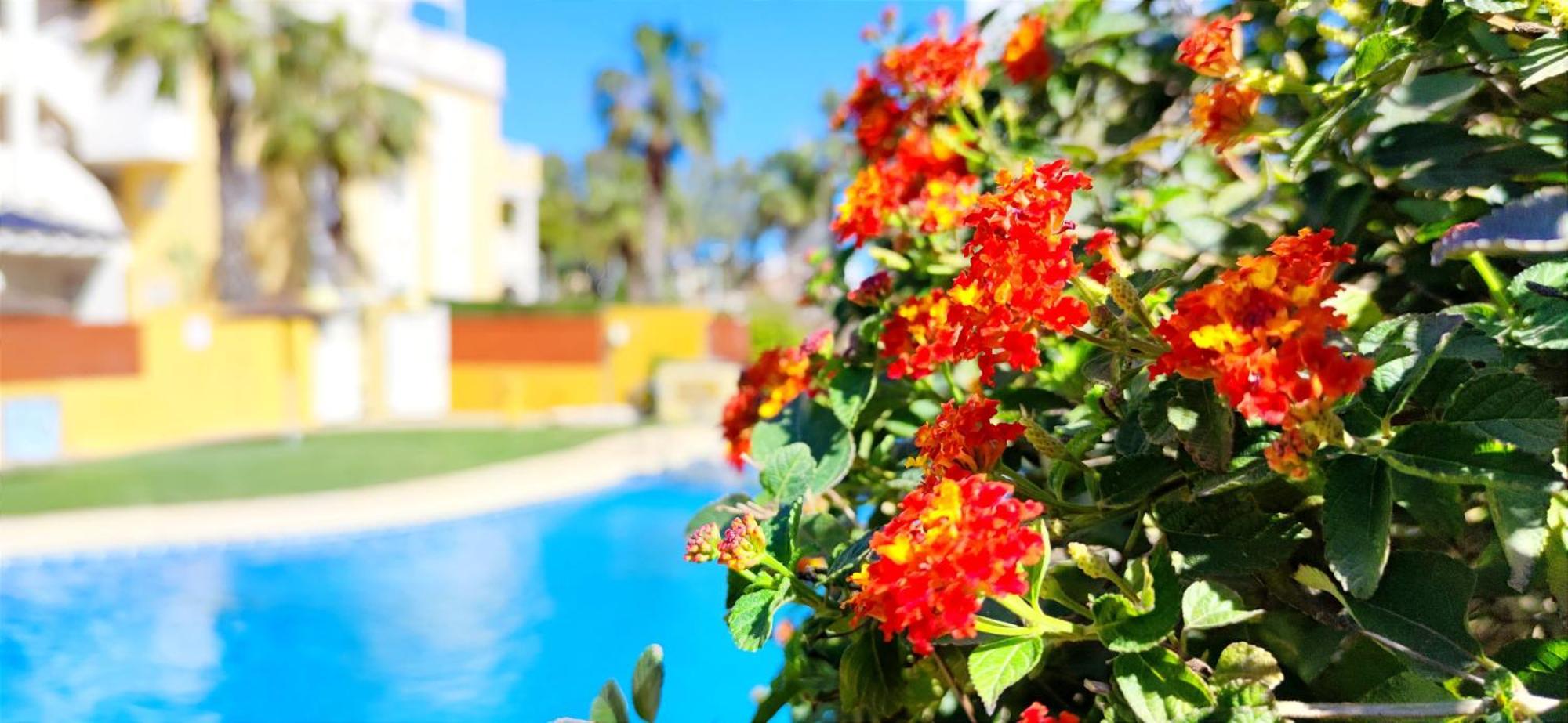 Apartamento Playa Sol By Denia Costa エクステリア 写真